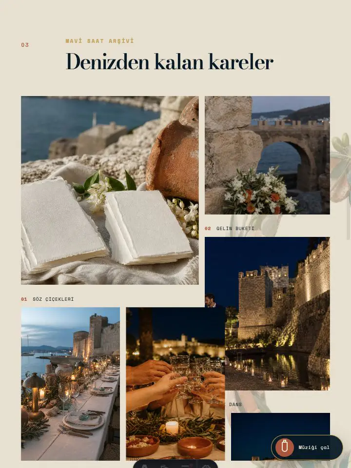 Halikarnas Gecesi düğün sitesi şablonu